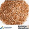 Katila Gum