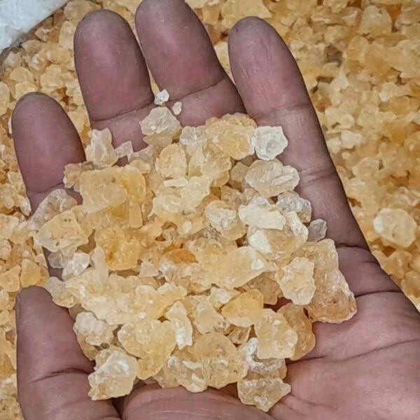 Katila Gum
