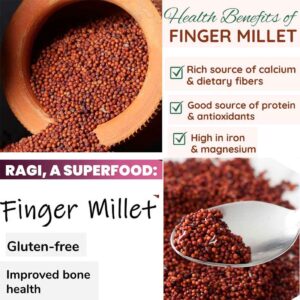 Finger Millet (Ragi)