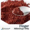 Ragi Finger Millet