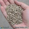 Hemp Seeds Price In Bangladesh