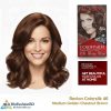 Revlon ColorSilk Beautiful Hair Color 46 Medium Golden Chestnut Brown
