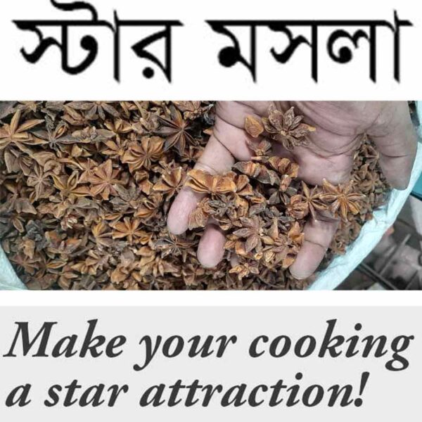 Star Masala