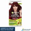 GARNIER Color Naturals Shade 6.60 Intense Red