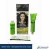 Garnier Color 1 Natural Black Hair Color Cream
